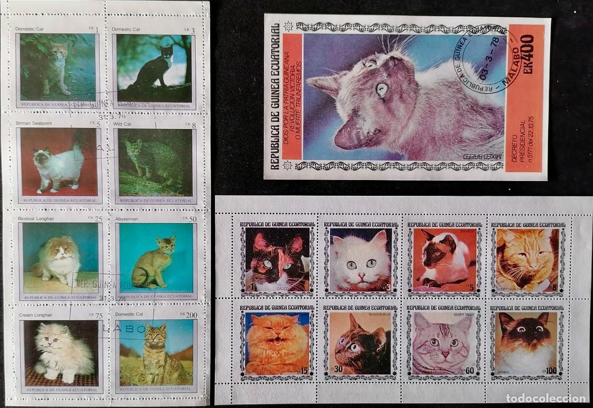 Sellos: GUINEA ECUATORIAL 1976 / 79 - 3 HB RAZAS DE GATOS