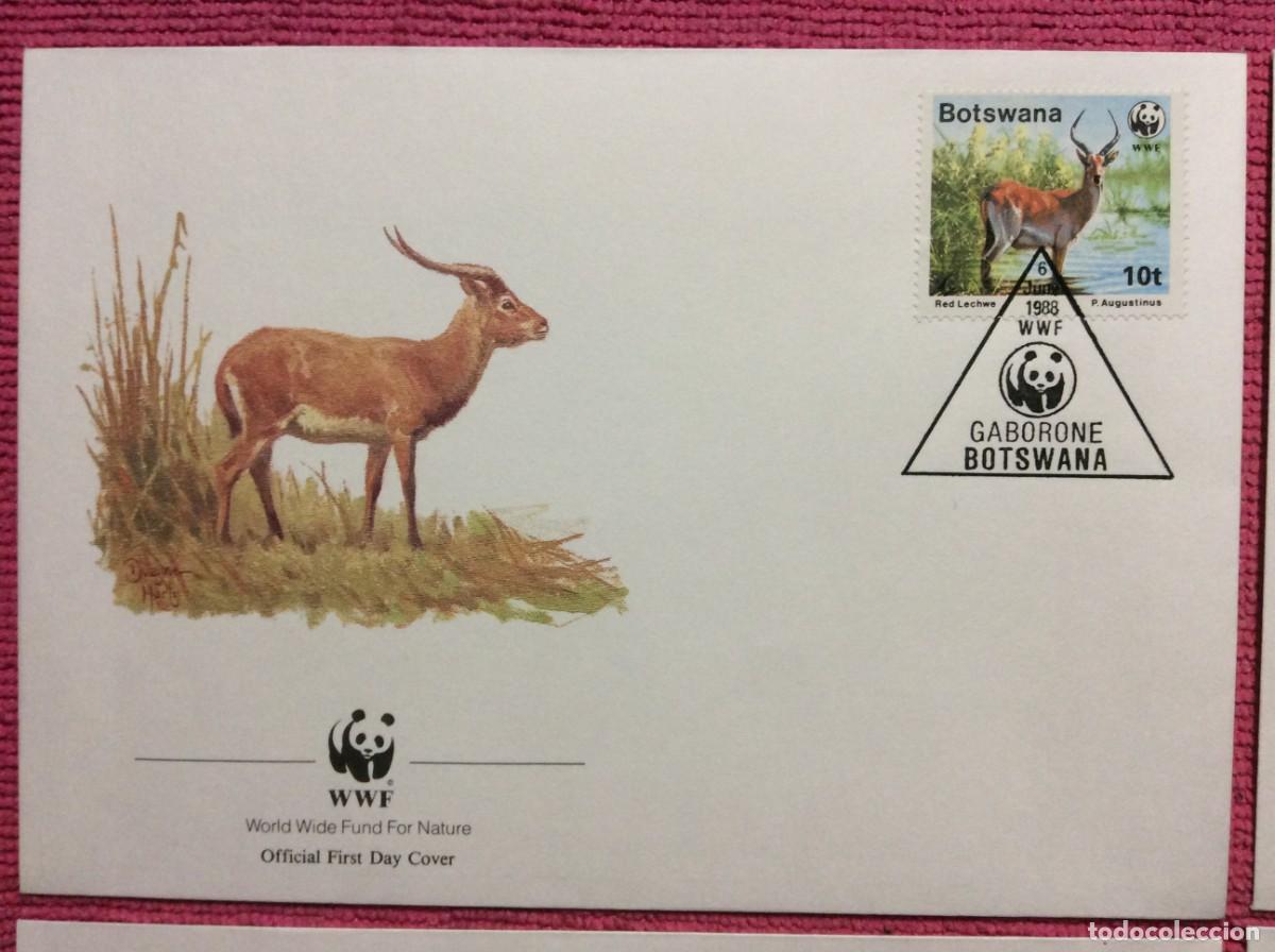 Sellos: FAUNA. WWF. 1988 BOTSWANA (2LLA169) - Foto 2