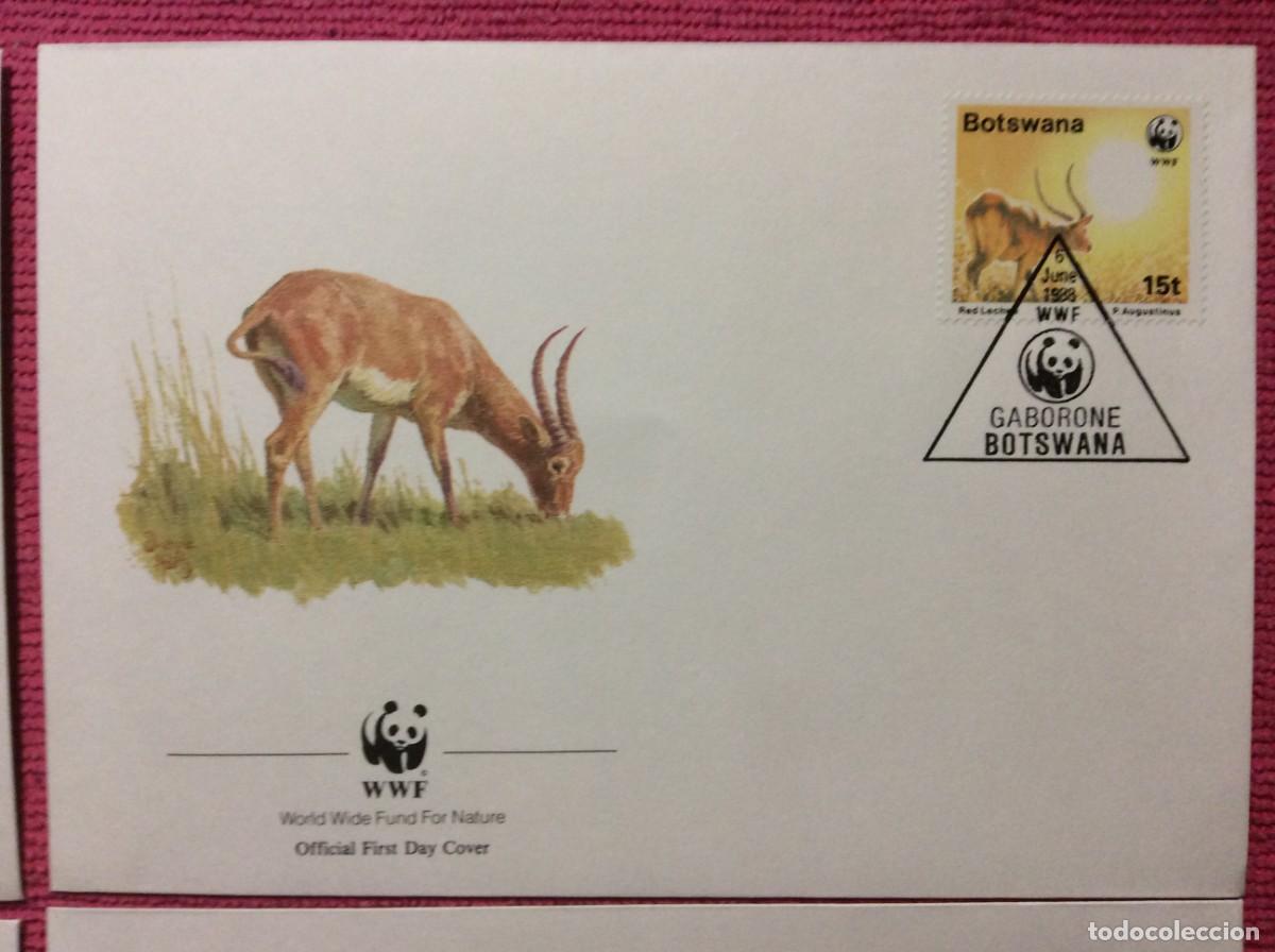 Sellos: FAUNA. WWF. 1988 BOTSWANA (2LLA169) - Foto 3