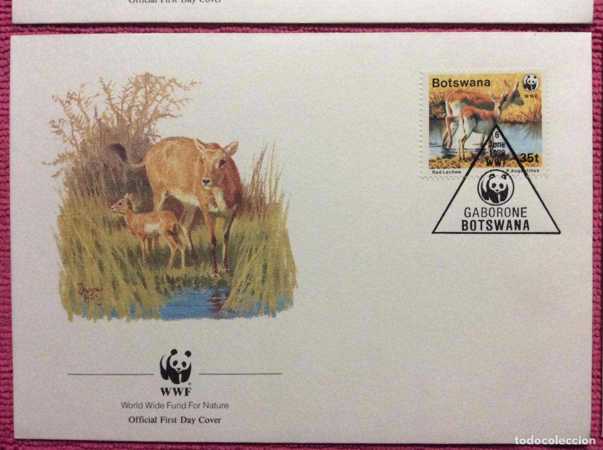 Sellos: FAUNA. WWF. 1988 BOTSWANA (2LLA169) - Foto 4