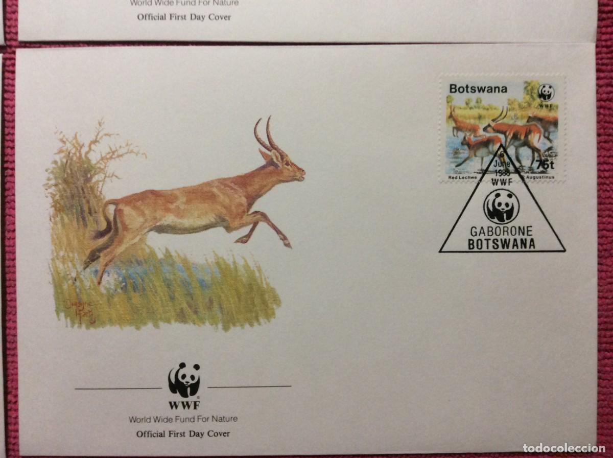 Sellos: FAUNA. WWF. 1988 BOTSWANA (2LLA169) - Foto 5