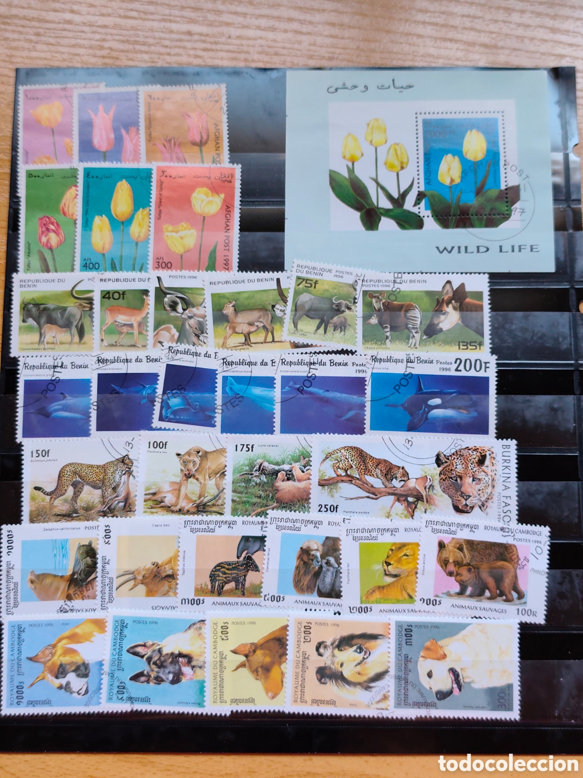 Sellos: lote tematica Fauna i Flora - Foto 1