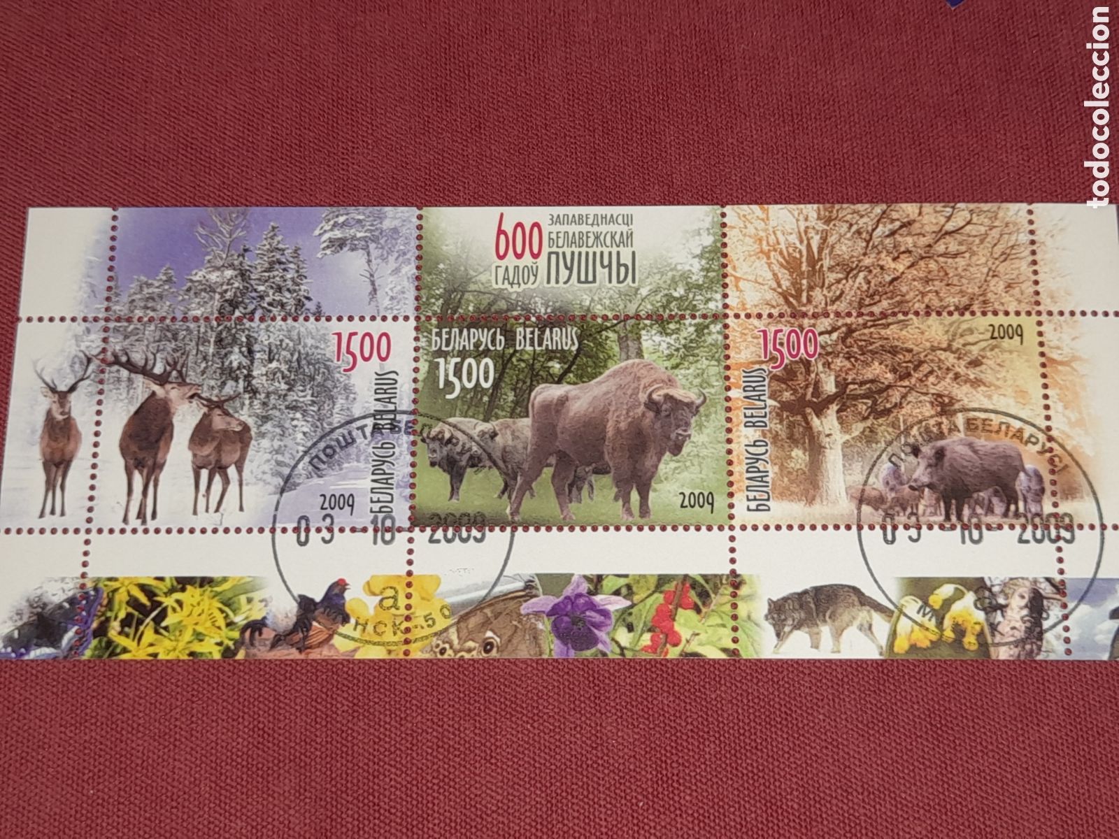 Sellos: HB Bielorrusia mtdo 2009. 600Aniv reserva natural B. Puscha. Fauna. Ciervo. Ungulados. B&uacute;falo. Jabal