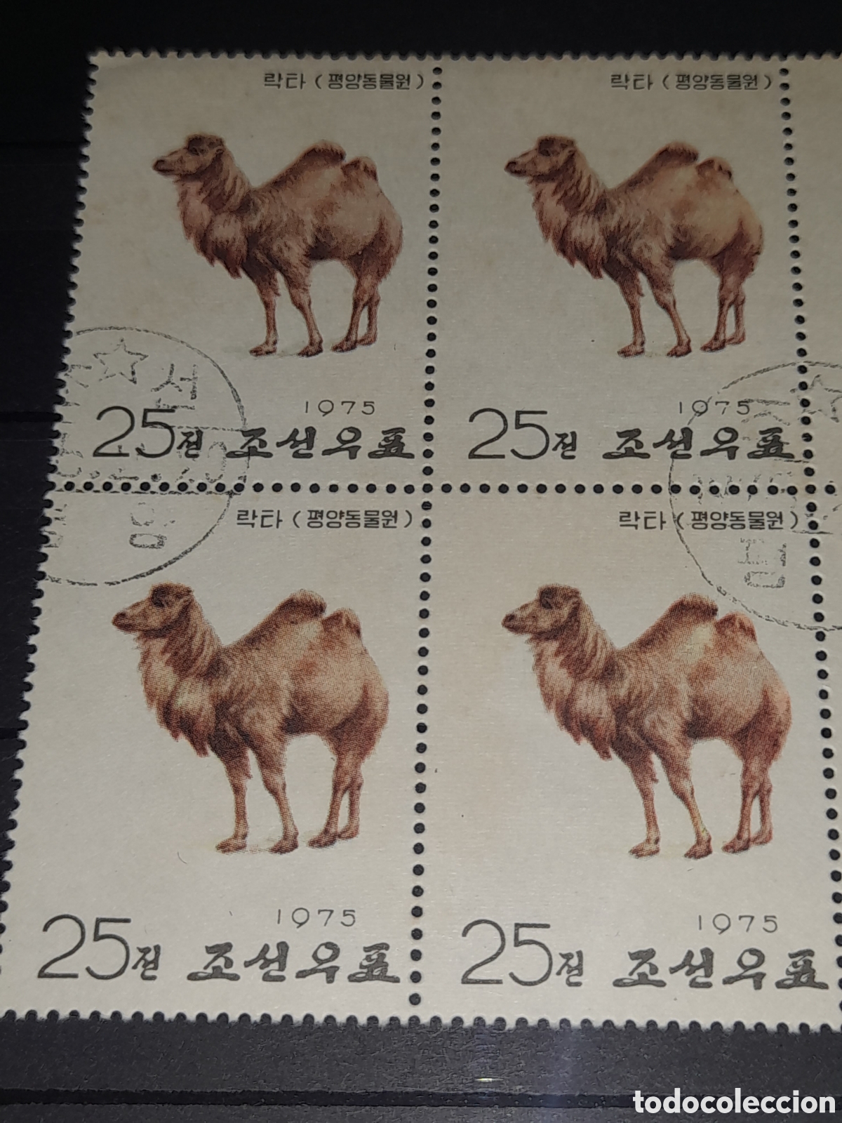 Sellos: Sello (1/5v) Corea Norte mtdo 1975. Animales zoo Pyongyang. Fauna. Camello. Equino. Dromedario.