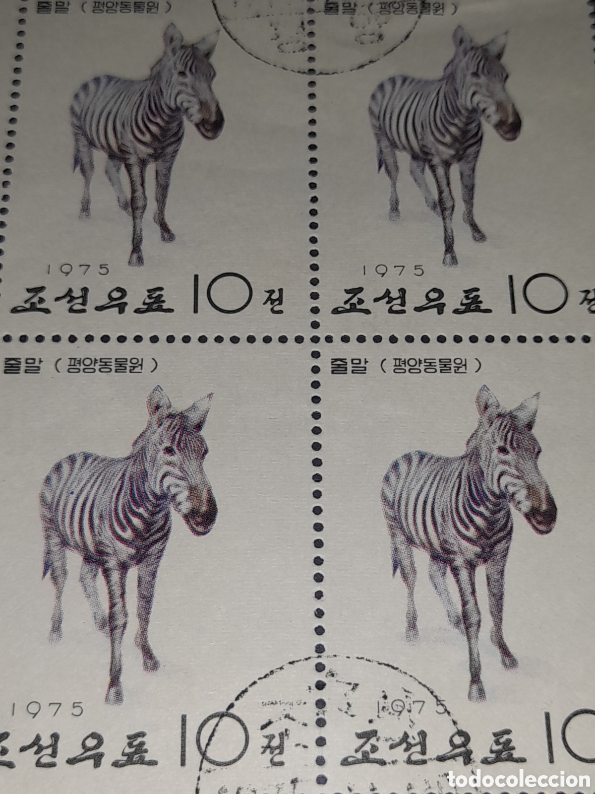 Sellos: Sello (1/5v) Corea Norte mtdo 1975. Animales zoo Pyongyang. Fauna. Cebra. Equino. Rumiantes. Mamifer