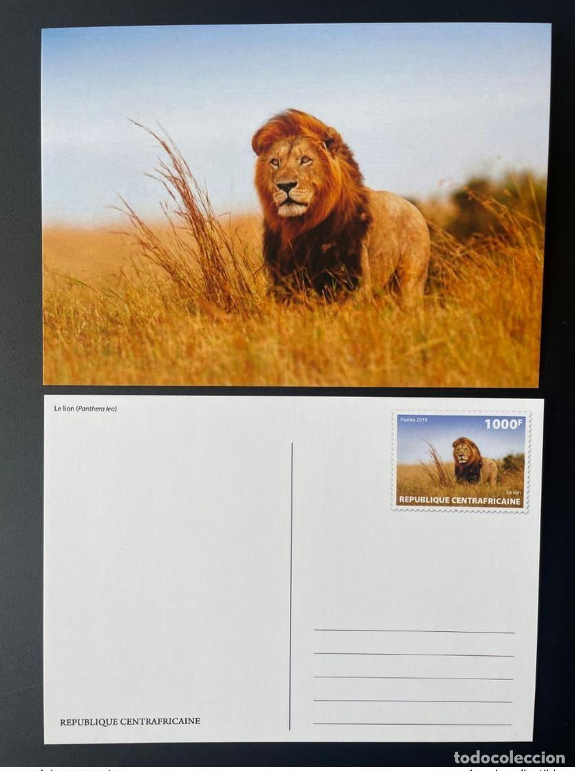 Sellos: Rep&uacute;blica Centroafricana 2019 Mi. 8628 Papeler&iacute;a Entier Lion L&ouml;we Panthera Leo Fauna