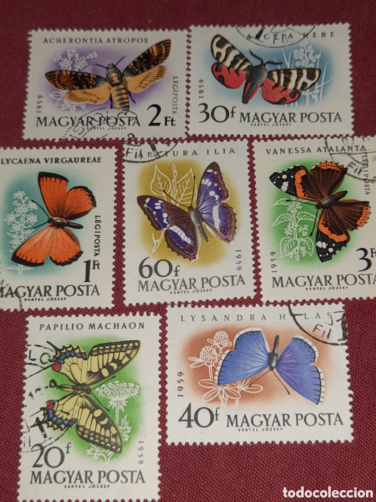 Sellos: Sello Hungr&iacute;a mtdo 1959. Mariposas. Pilollas. Insectos. Fauna. Naturaleza. Animales.