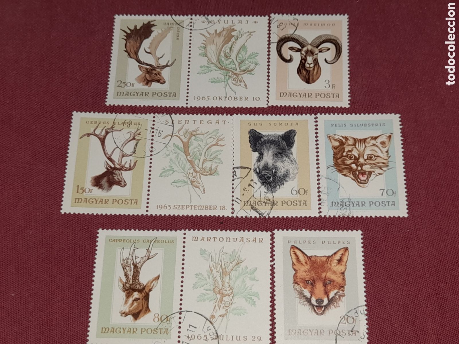 Briefmarken: Sello Hungria mtdo 1966. Trofeos caza. Gato salvaje. Ciervos. Jabal&iacute;. Zorro. Fauna animales salvaje.