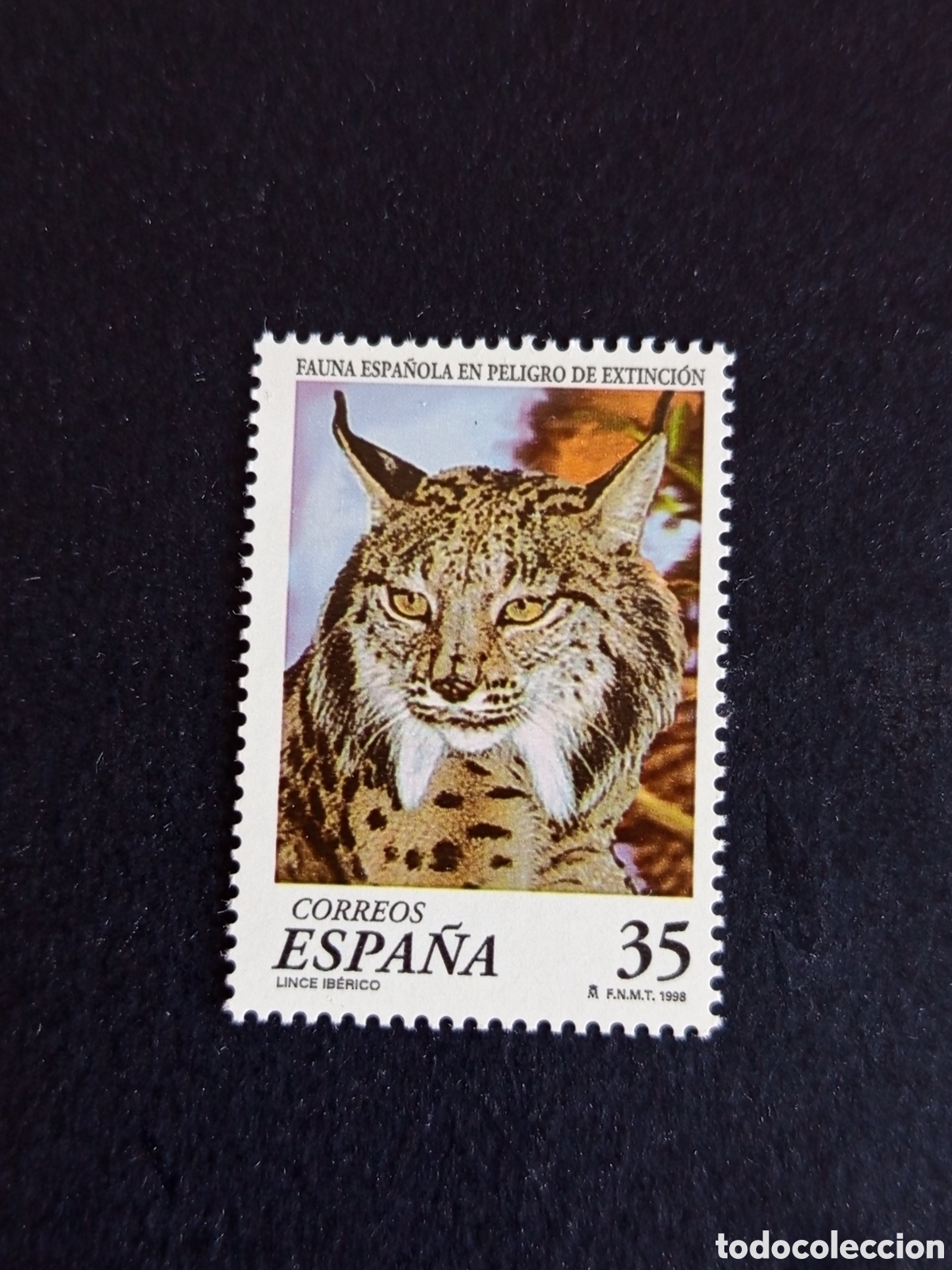Sellos: Espa&ntilde;a, 1998. Fauna en peligro de extinci&oacute;n: Lince ib&eacute;rico. Edifil 3529. Pedido m&iacute;nimo 3 &euro;.Ver fotos