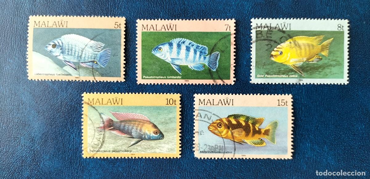 Sellos: MALAWI - SELLOS PECES - Foto 1