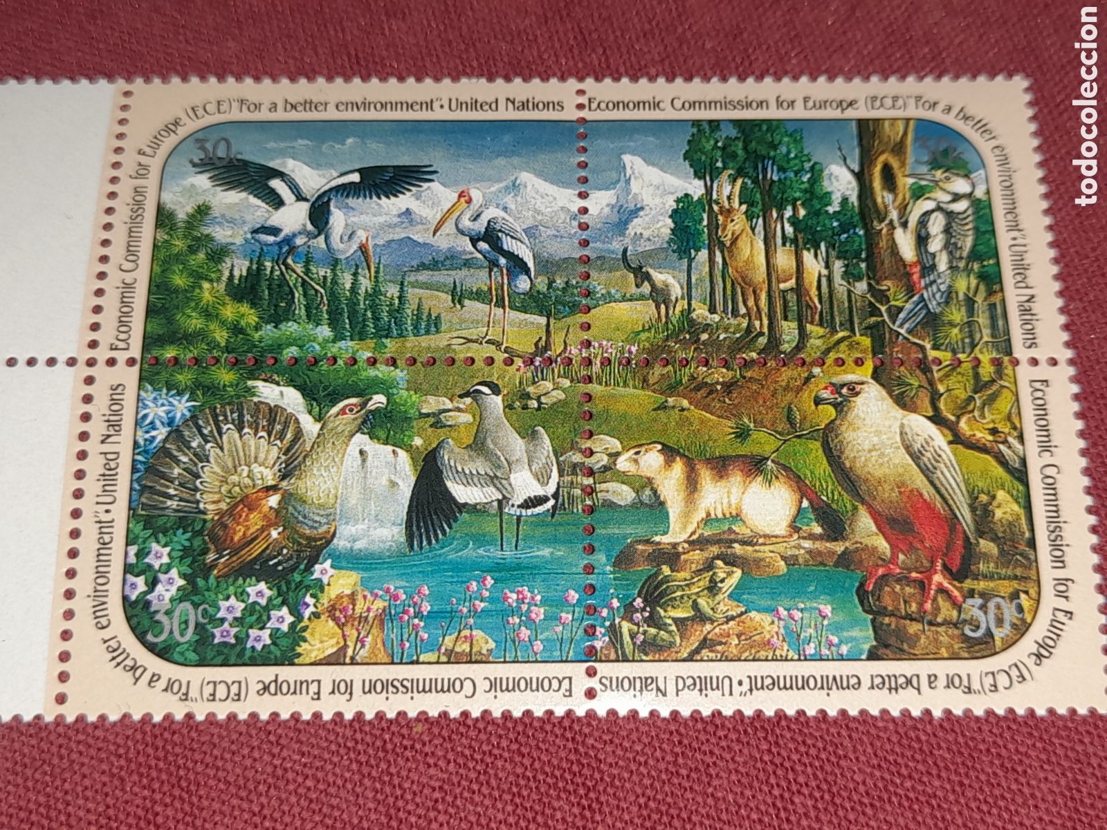 Sellos: Sello N. Unidas, N. York nuevo 1991. Comisi&oacute;n medio ambiente. Naturaleza. Aves. P&aacute;jaros. Fauna. Mont