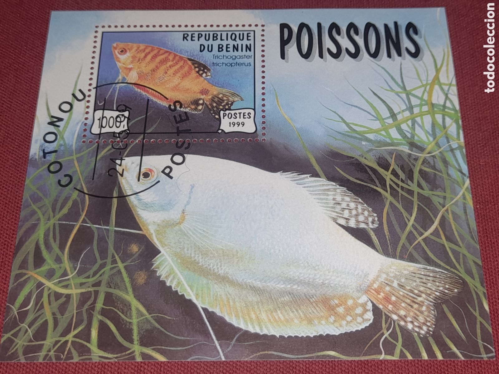 Sellos: HB Benin mtdo 1999. Peces. Pecado. Fauna, vida marina. Naturaleza.