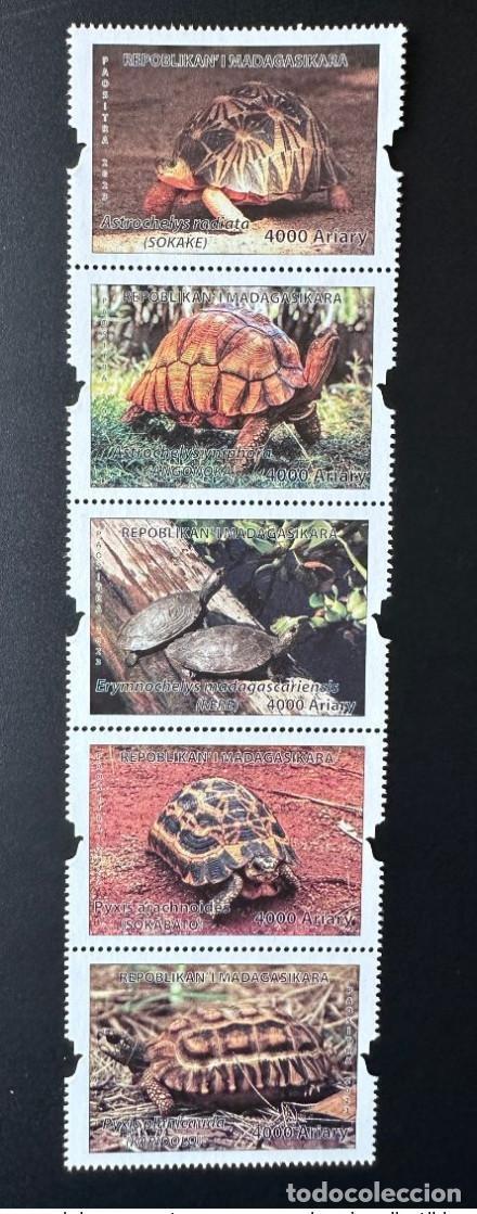 Sellos: Madagascar 2023 Mi.? Tortugas end&eacute;micas: Schildkr&ouml;ten vida silvestre reptiles