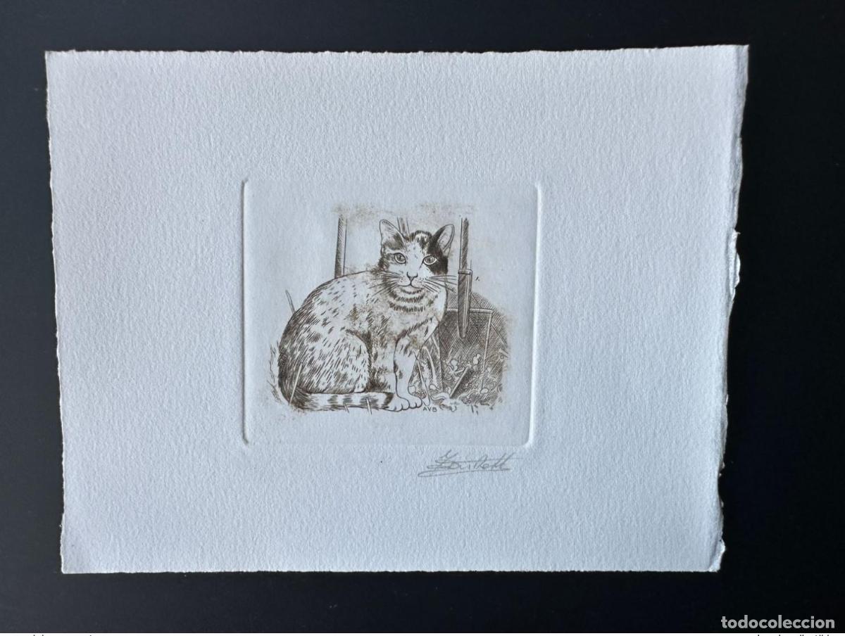 Sellos: B&eacute;lgica 1993 COB 2524 a prueba de artistas carnet FDC Cat MH marr&oacute;n