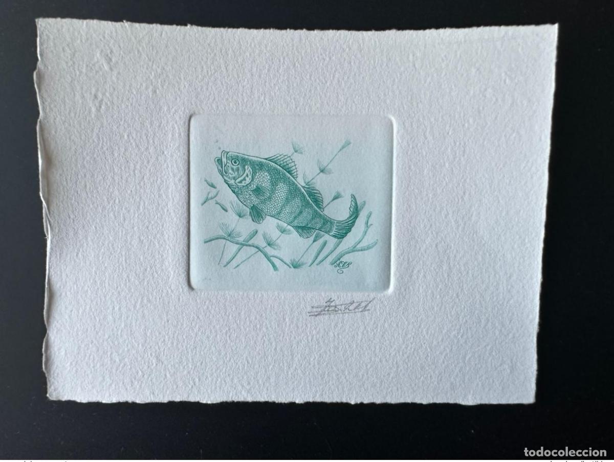 Sellos: B&eacute;lgica 1990 COB 2383 Prueba art&iacute;stica Pez Poisson Fisch Perca verde