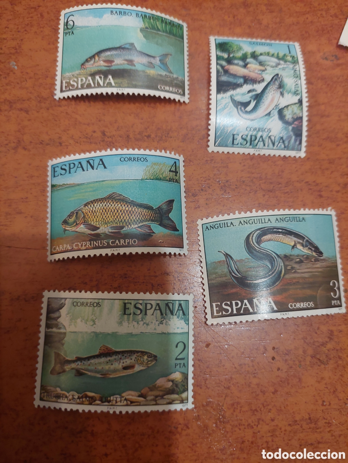 Sellos: 2403/7 1977 fauna peces trucha,anguila,barbo,salm&oacute;n, carpa