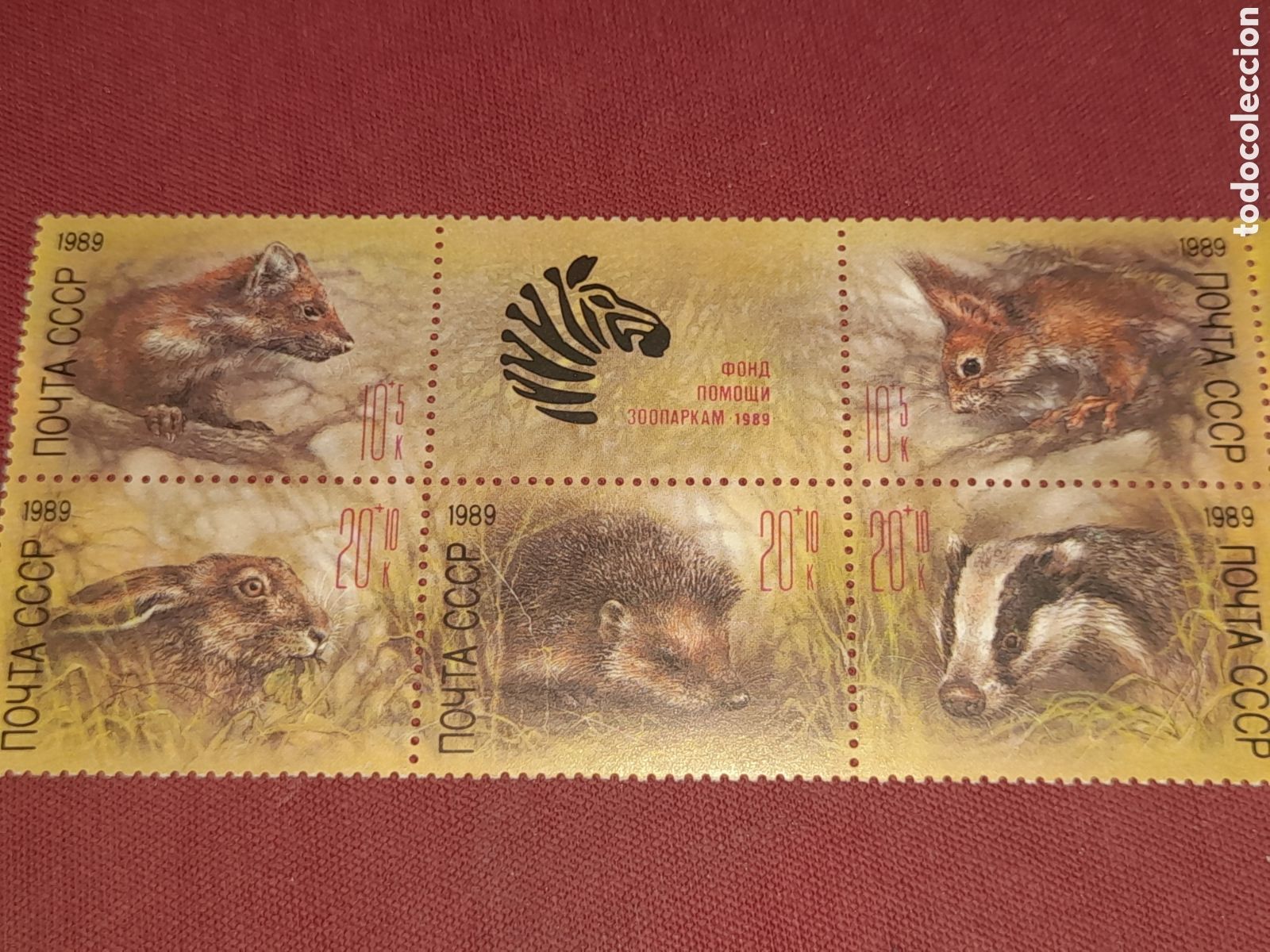 Sellos: Sello Rusia (CCCP, URSS) nuevo 1989. Fundaci&oacute;n mantenimiento zoos. Fauna. Roedores. Ardilla. Erizo.