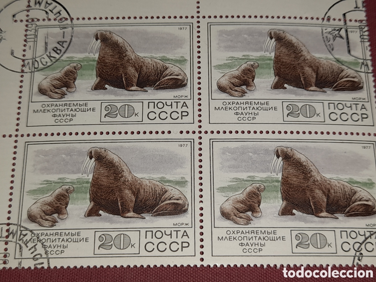 Sellos: Sello (1/8v) Rusia mtdo 1977. Fauna. Animales salvajes. Orca. Le&oacute;n marino. Foca. Vida marica artica.