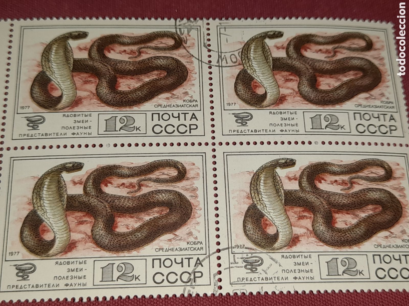 Sellos: Sello (1/8v) Rusia mtdo 1977. Fauna. Animales salvajes. Serpiente. Cobra. V&iacute;bora. Culebra. Reptiles.