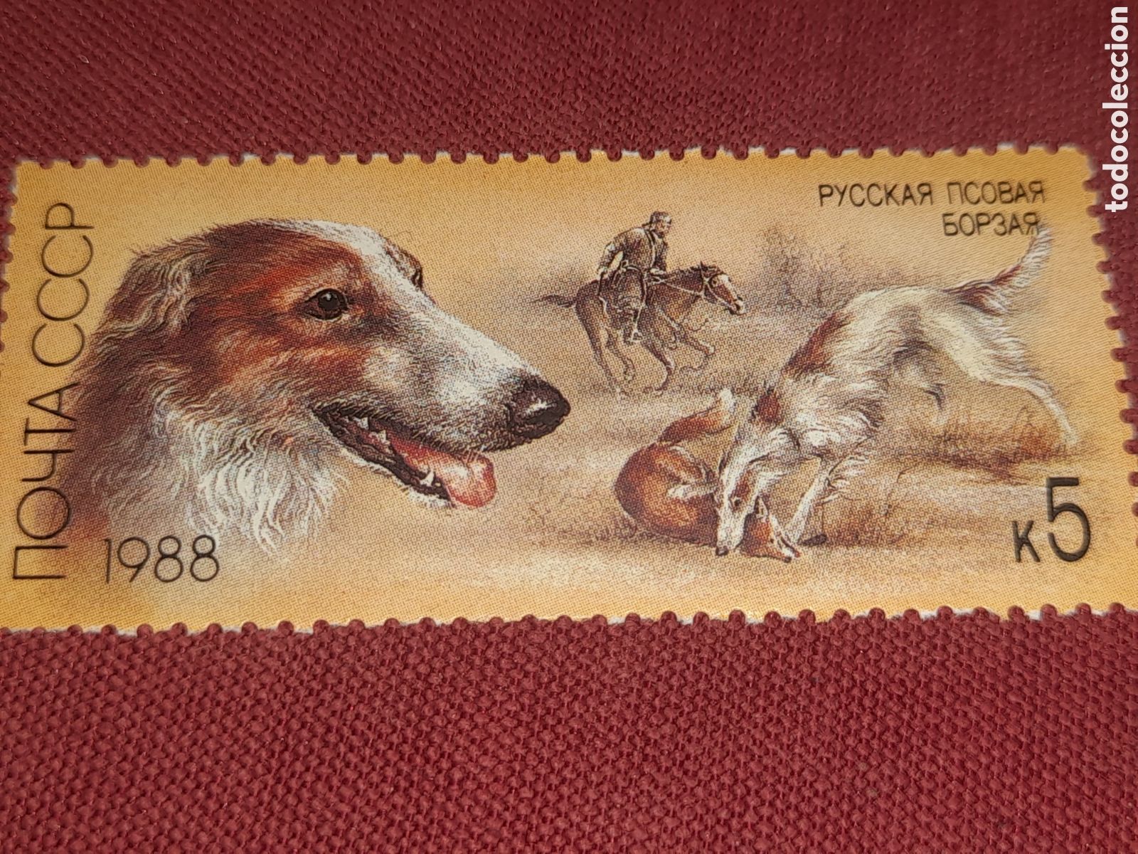 Sellos: Sello (1/5v) Rusia (CCCP, URSS) nuevo 1988. Perros caza. Animales dom&eacute;sticos. Fauna. Mam&iacute;feros Zorro