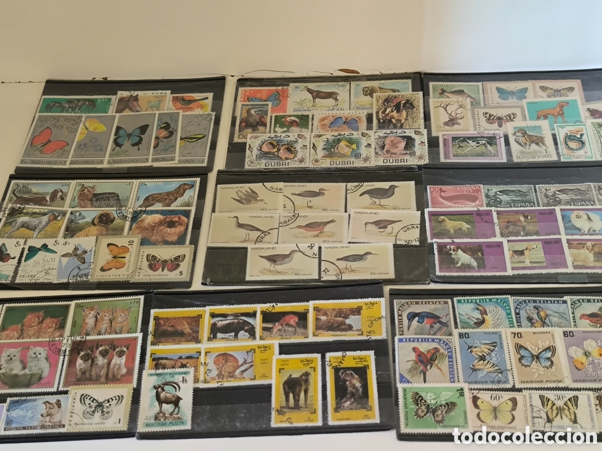 Sellos: M&aacute;s de 500 sellos de animales de todo el mundo