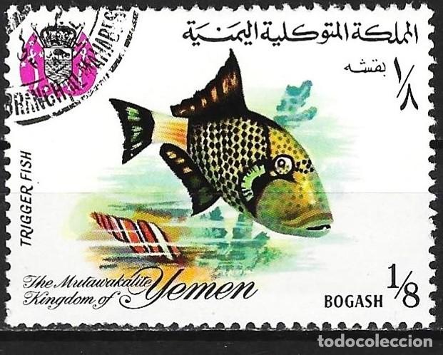 Sellos: Yemen ( Reino ) 1967 - Mi 323A - YT 239 - Pez : Balista