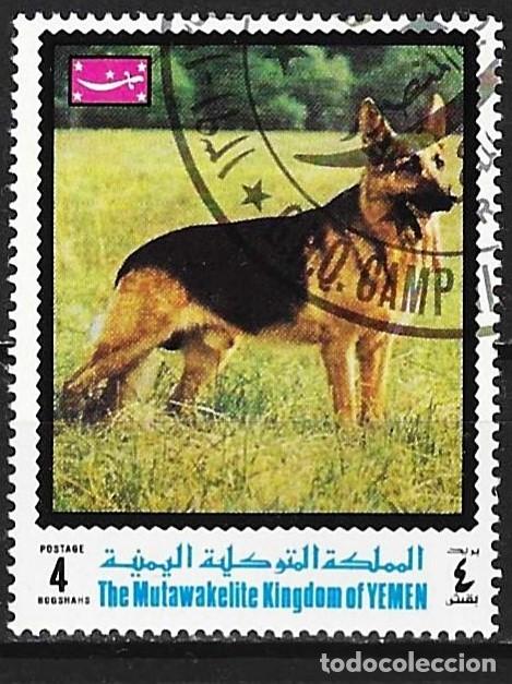 Sellos: Yemen ( Reino ) 1970 - Mi 1003A - YT 295-A - Perro : Pastor alem&aacute;n