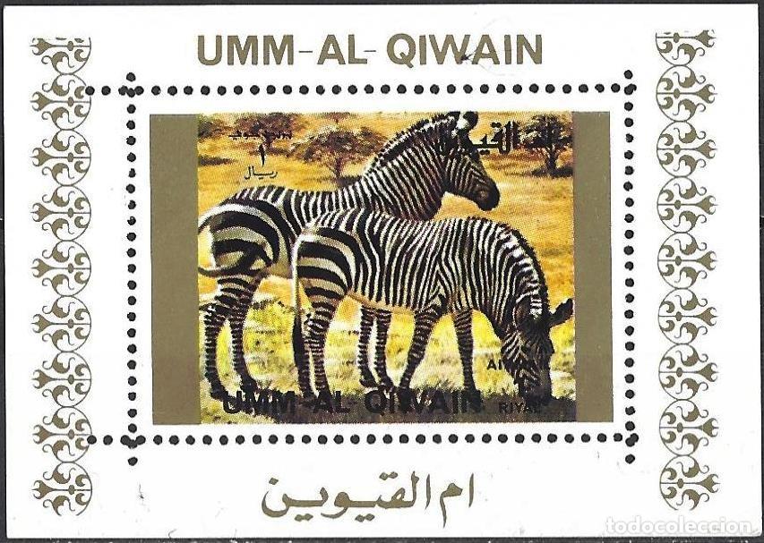Sellos: Umm al-Qiwain 1972 - Mi 1372 AwBL - Fauna : Cebra - MNH**