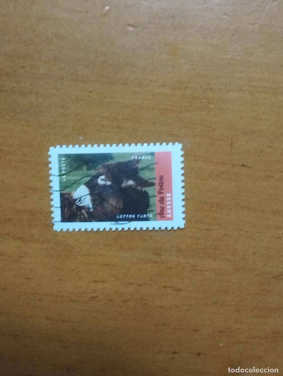 Sellos: 22.04/ Francia. Autoadhesivo. Sello en usado. Animales dom&eacute;sticos