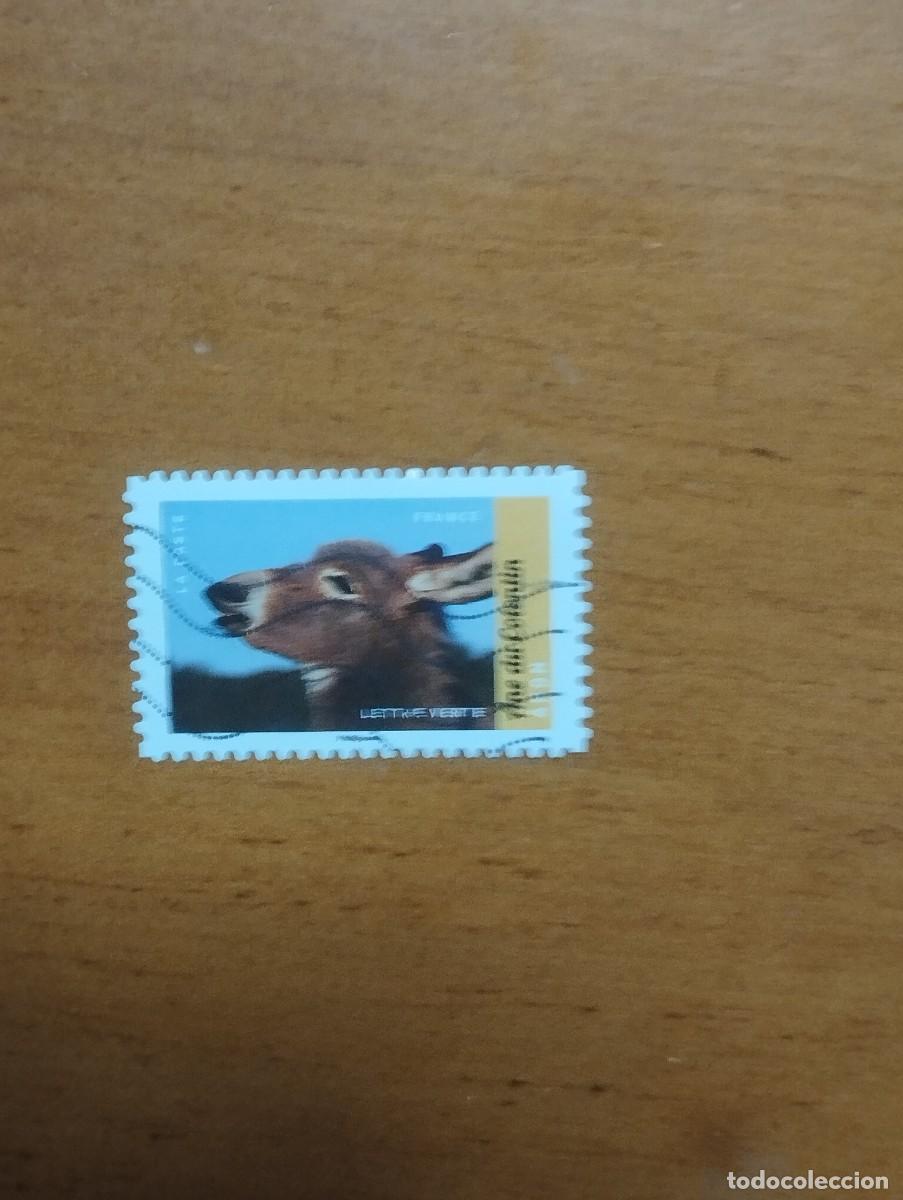 Sellos: 22.04/ Francia. Autoadhesivo. Sello en usado. Animales dom&eacute;sticos