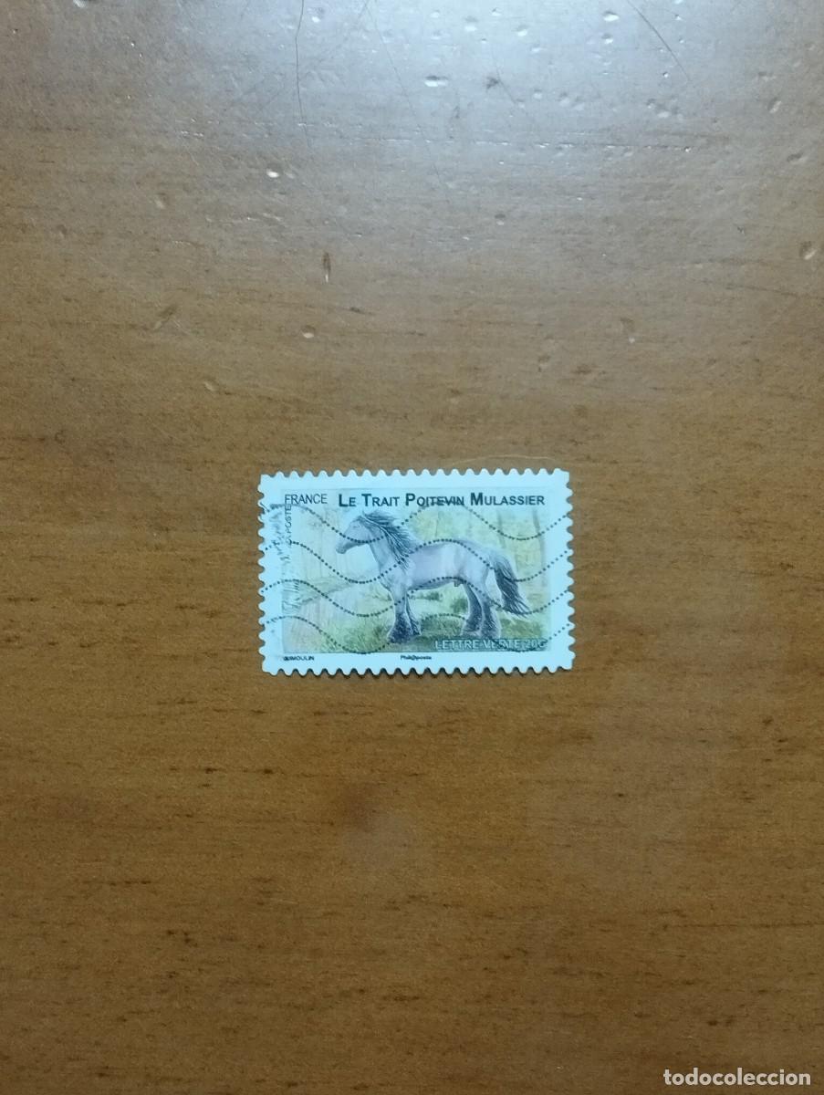 Sellos: 22.04/ Francia. Autoadhesivo. Sello en usado. Animales dom&eacute;sticos.