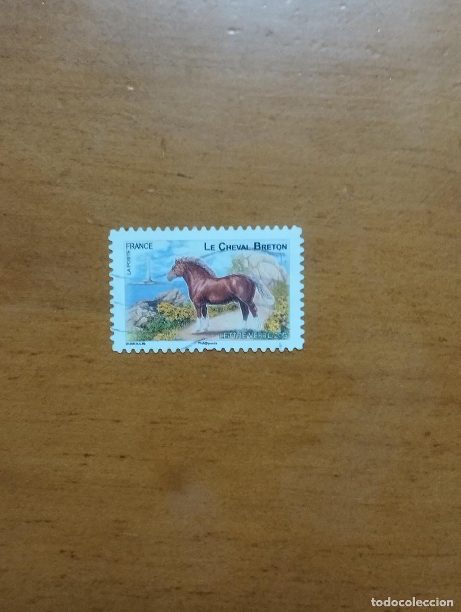 Sellos: 22.04/ Francia. Autoadhesivo. Sello en usado. Animales dom&eacute;sticos