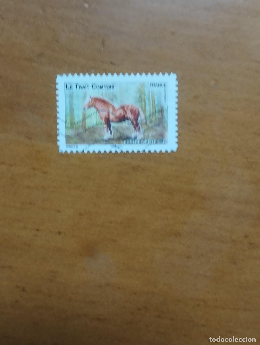 Sellos: 22.04/ Francia. Autoadhesivo. Sell&oacute; en usado. Animales dom&eacute;sticos