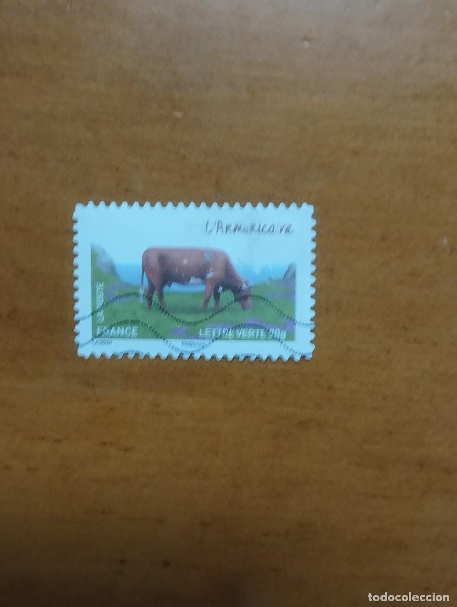 Sellos: 22.04/ Francia. Autoadhesivo. Sello en usado. Animales dom&eacute;sticos.