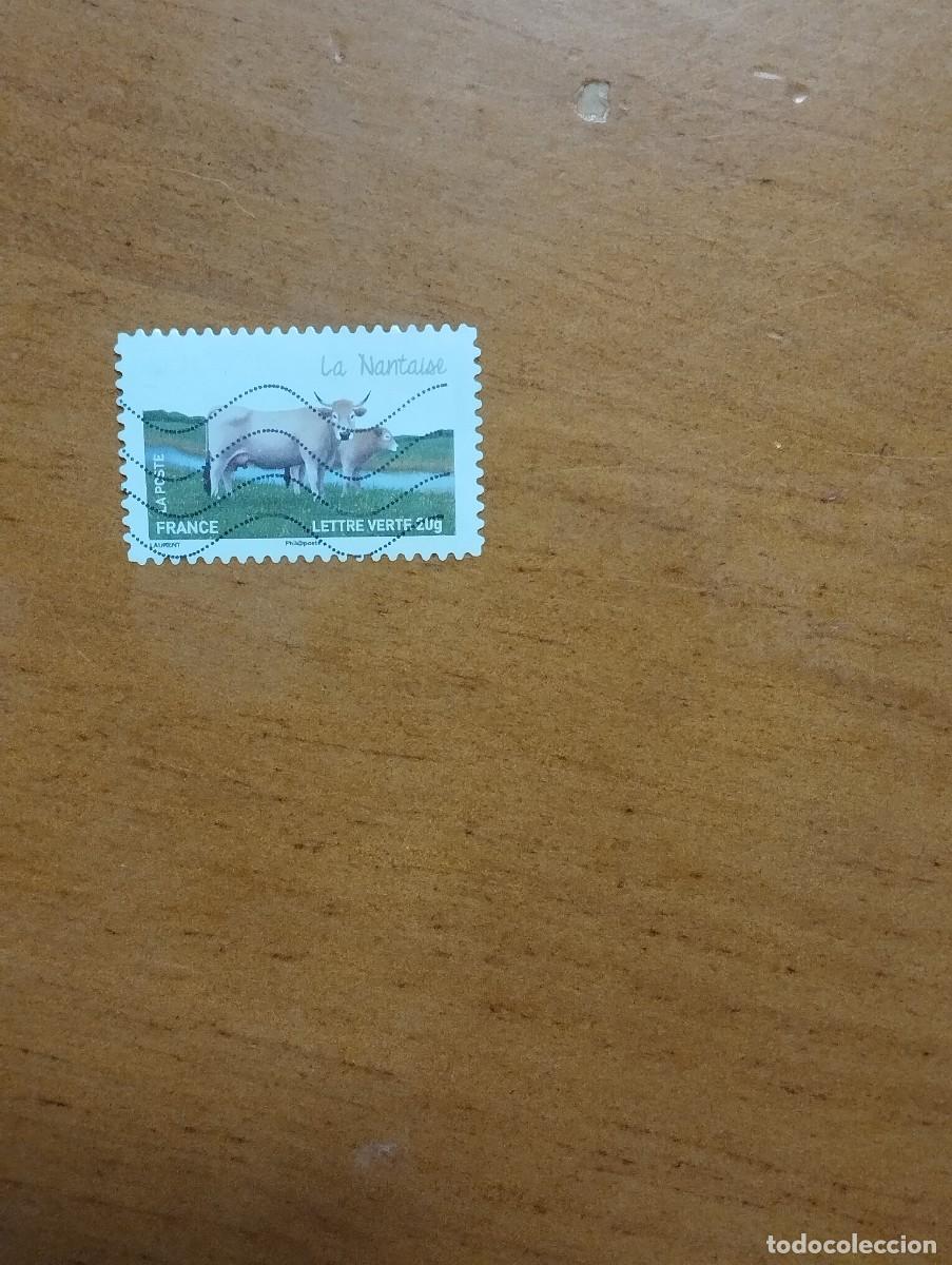 Sellos: 22.04/ Francia. Autoadhesivo. Sello en usado. Animales dom&eacute;sticos