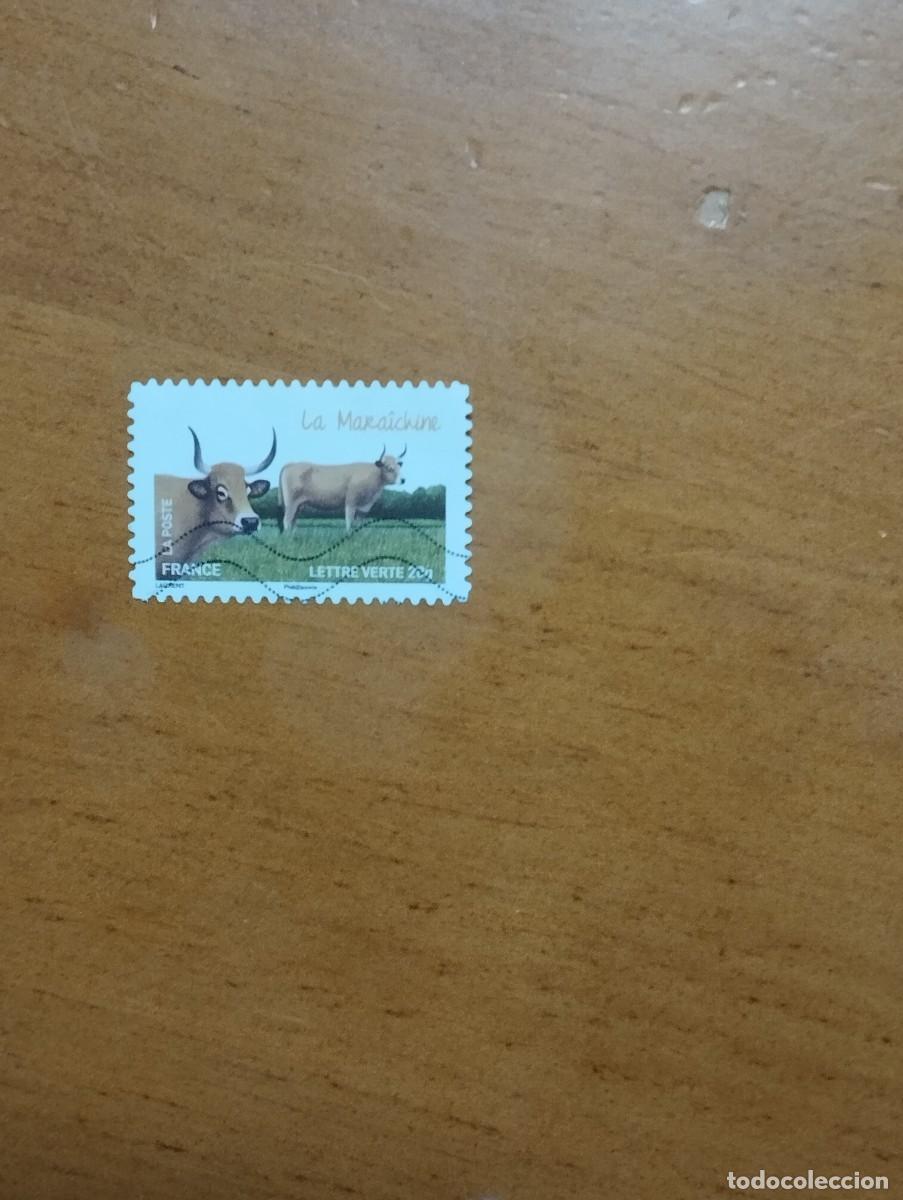 Sellos: 22.04/ Francia. Autoadhesivo. Sello en usado. Animales dom&eacute;sticos