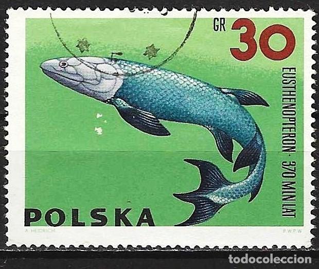 Timbres: Polonia 1966 - Mi 1656 - YT 1507 - Fauna prehistórica7