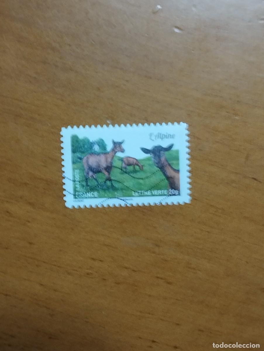 Sellos: 23.04/ Francia. Autoadhesivo. Sello en usado. Animales dom&eacute;sticos