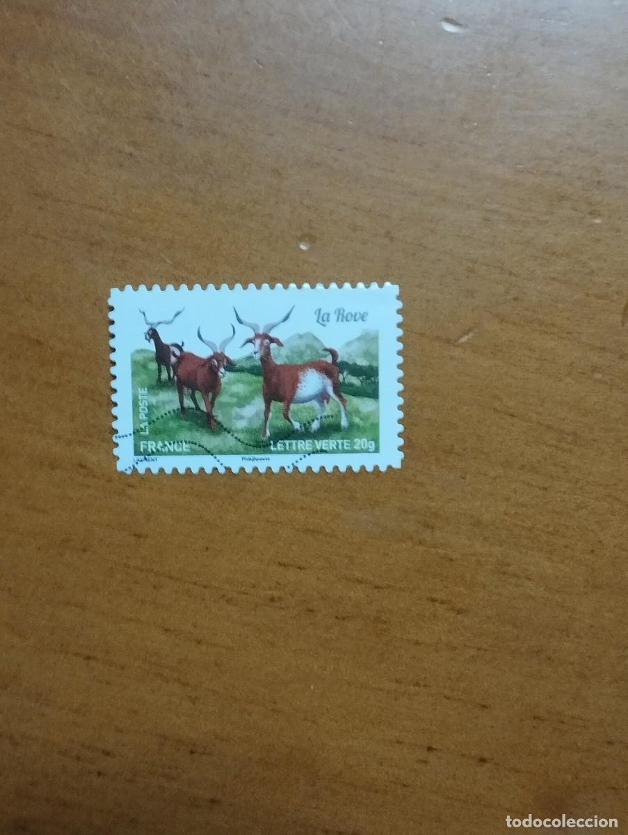 Sellos: 23.04/ Francia. Autoadhesivo. Sello en usado. Animales dom&eacute;sticos