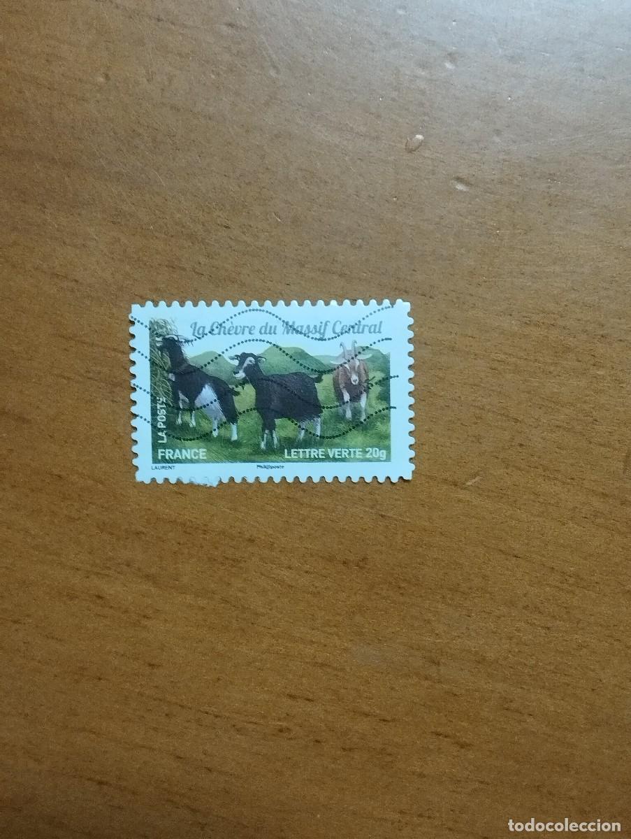 Sellos: 23.04/ Francia. Autoadhesivo. Sello en usado. Animales dom&eacute;sticos