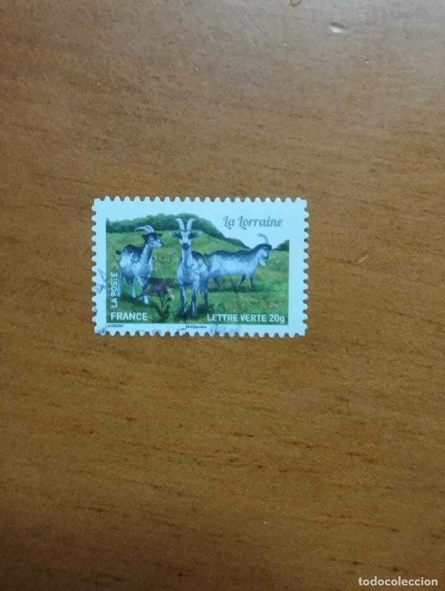 Sellos: 23.04/ Francia. Autoadhesivo. Sello en usado. Animales dom&eacute;sticos