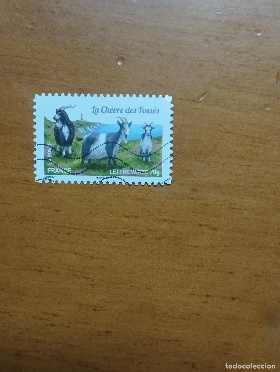 Sellos: 23.04/ Francia. Autoadhesivo. Sello en usado. Animales dom&eacute;sticos