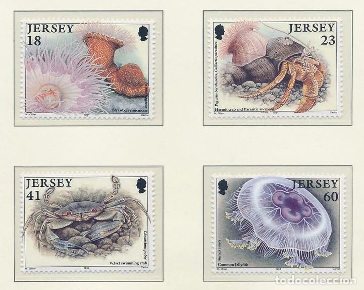 Sellos: Jersey 1994 Ivert 659/62 *** Fauna Marina (II)