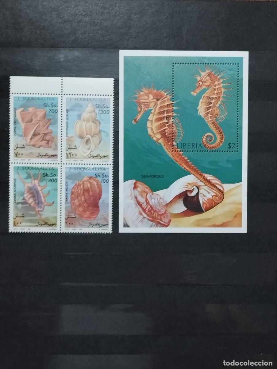 Sellos: 28.04/ Somalia. 1994. Ser&iacute;a completa+bloque. Fauna marina