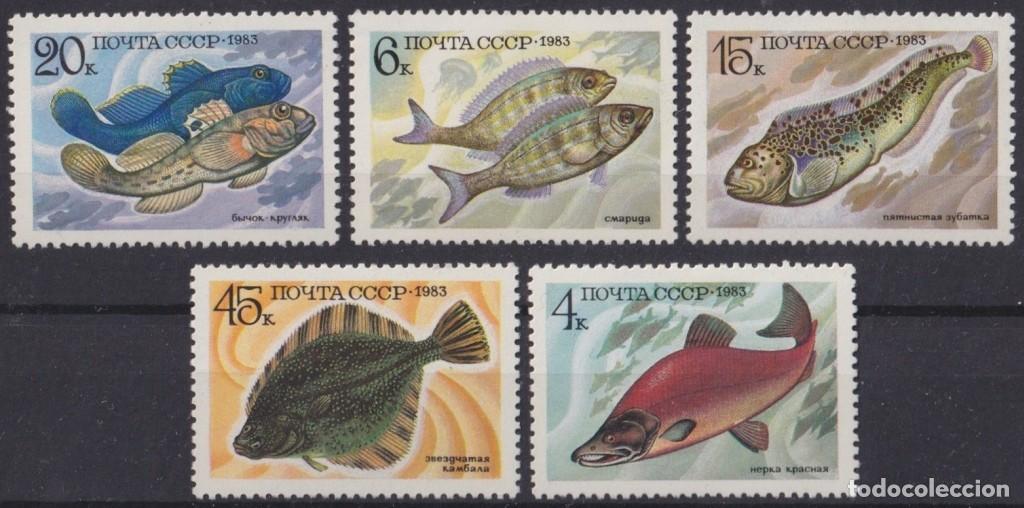 Sellos: F-EX61625 RUSSIA MNH 1983 MARINE WILDLIFE FISH.