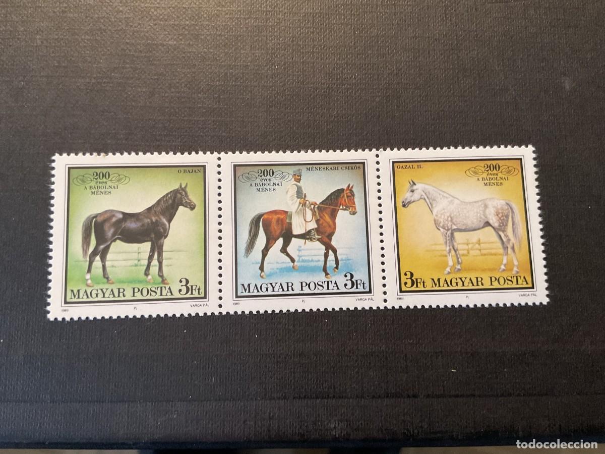 Sellos: HUNGRIA N&ordm; YVERT 3205/7** A&Ntilde;O 1989.CABALLOS. BICENTENARIO DEL HARAS DE BABOLNA. CON CHARNELA