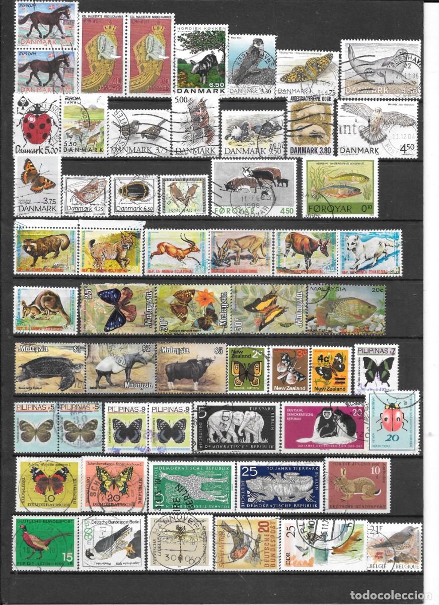 Sellos: ANIMALES-MUCHOS PA&Iacute;SES-DIFERENTES A&Ntilde;OS-USADOS Y NUEVOS