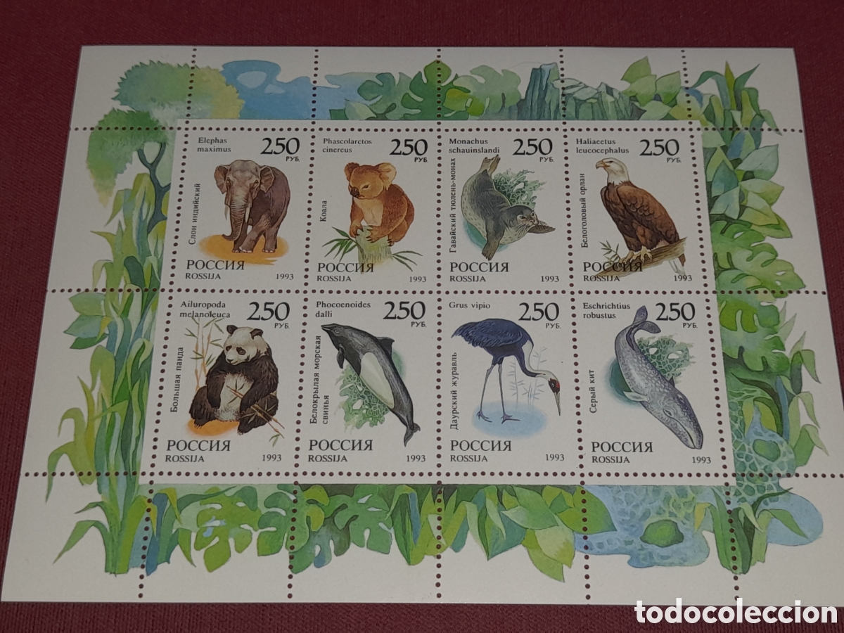 Sellos: HB Rusia (PCCCNR) nuevo 1993. Fauna mundo. Animales salvajes. Elefante. &Aacute;guila. Aves. Mam&iacute;feros. Foc