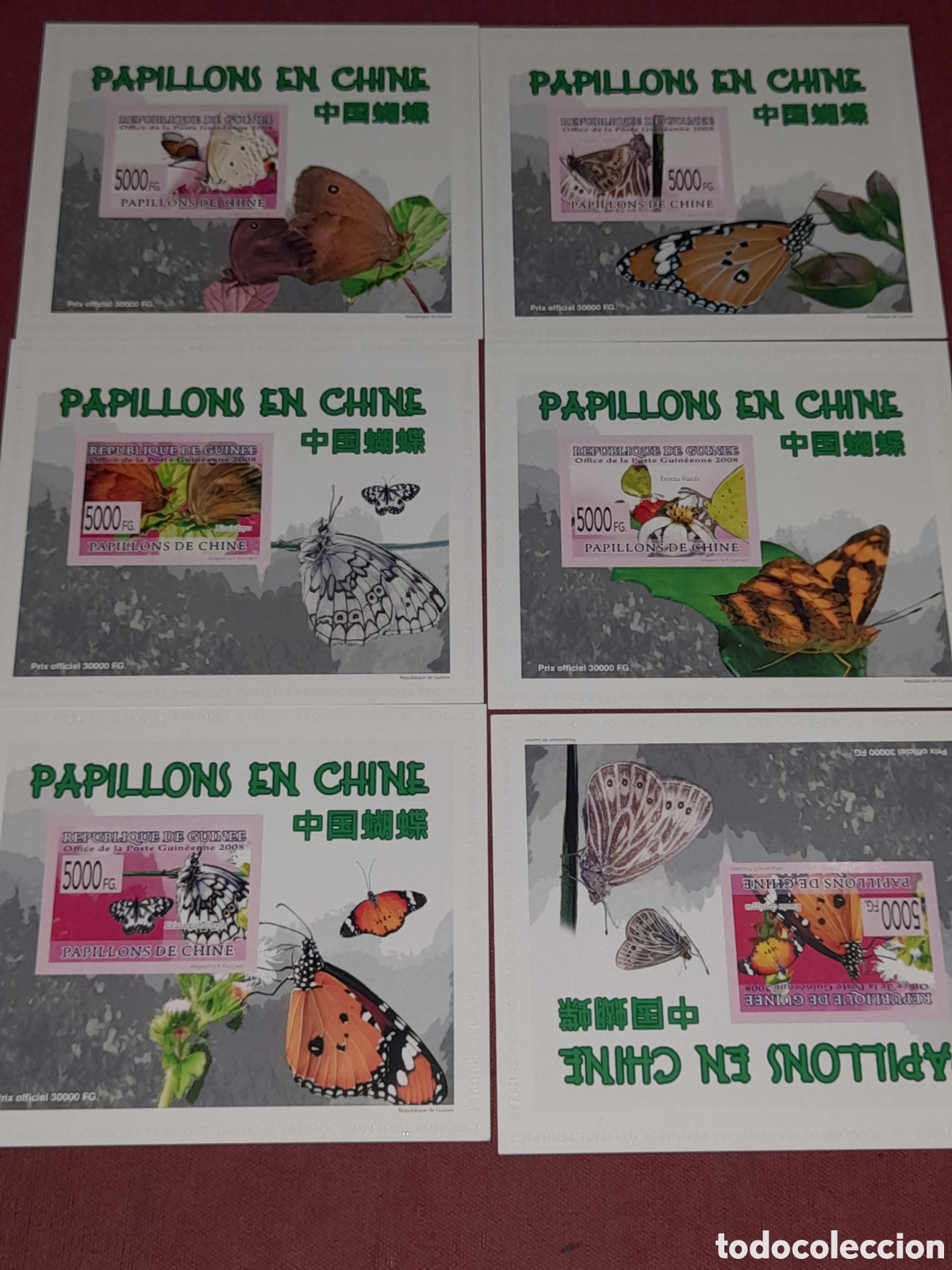 Sellos: Sello/HB R. Guinea nueva/no UPU 2008. Mariposa. Polillas. Insecto. Fauna. Papel carton.