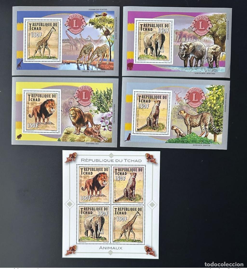 Sellos: Chad 2012 Mi. 2557 - 2560 Bl. 443 446 Fauna Lion Lions Club International